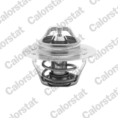 Thermostat, coolant